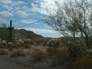 MOUNTAIN VIEWS