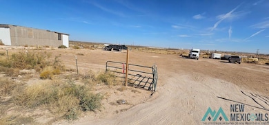 E of 36 S Donaldson Farm Rd, Loving, NM 88256 - photo 2