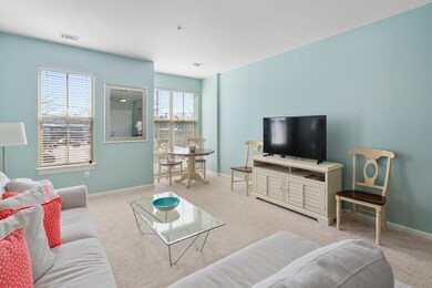 3 Repton Cir unit 3207, Watertown, MA 02472 - photo 7