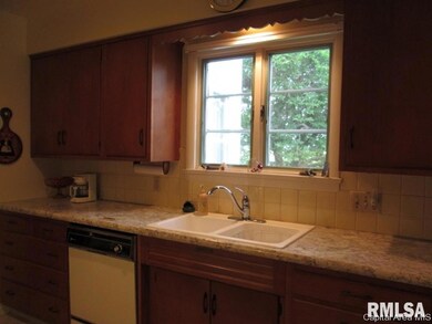 1437 Perbix Rd, Chapin, IL 62628 - photo 6