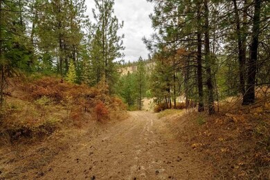 5491 C Sailor, Deer Park, WA 99006 - photo 7