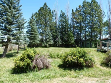 04 front yard and little bunkhouse