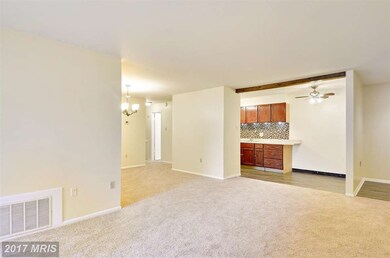 2307 Greenery Ln unit T3, Silver Spring, MD 20906 - photo 5