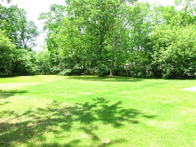 lush tree-lined yard