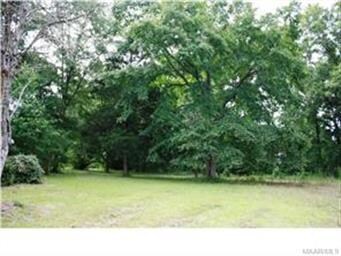 3777 Highway 82, Fitzpatrick, AL 36029 - photo 7