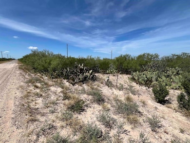 0 Camino Del Este unit 20253214, Laredo, TX 78043 - photo 3