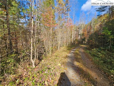 TBD Bent Bow Dr, Lenoir, NC 28645 - photo 3