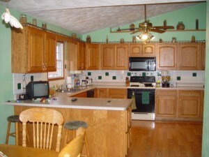 Kitchen View 2