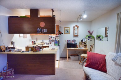 Kitchen/ Living Area
