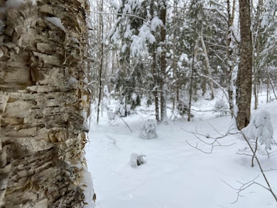 0 Fall Brook Rd unit 5071480, Lyndon, VT 05851 - photo 6