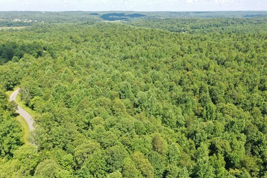 1921 McGee Rd, Linden, TN 37096 - photo 3