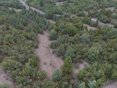 DJI_0071