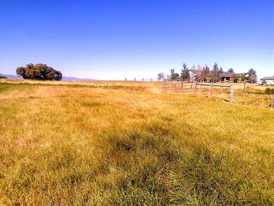 Lot View