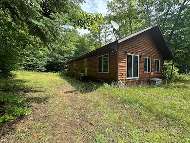 6136 Co Rd 413, McMillan, MI 49853 - photo 2