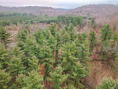 W2052 Spring Creek Rd, Durand, WI 54736 - photo 3