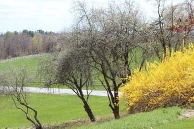 59 Patten Rd, Shelburne Falls, MA 01370 - photo 4