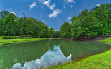 197 Moonlight Ln, Ellijay, GA 30540 - photo 3