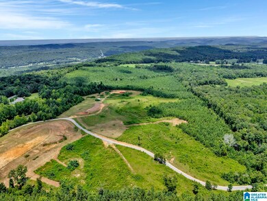 22 Blackberry Ln, Remlap, AL 35133 - photo 6