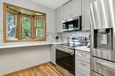 7357 116th Place N, Champlin, MN 55316 - photo 4