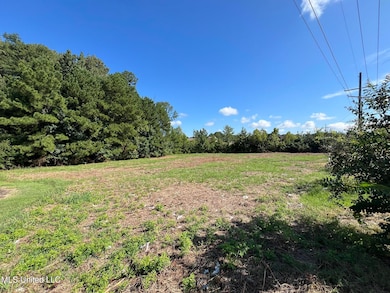 0 Byram Pkwy, Jackson, MS 39272 - photo 7