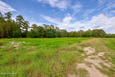 2 515 Porter Swamp Rd, Cerro Gordo, NC 28430 - photo 5