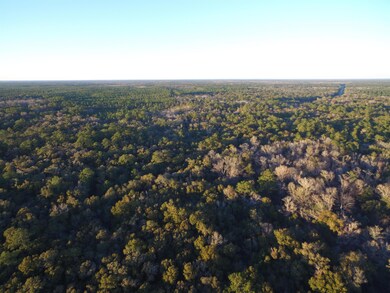 xx Simmie Dr, Crawfordville, FL 32327 - photo 4