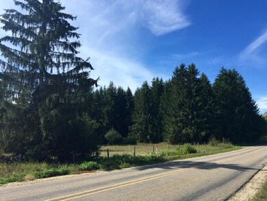 Looking East along E. Sturgeon Valley Rd