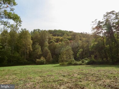 0 Jobbers Mountain Rd unit VARP107410, Sperryville, VA 22740 - photo 3