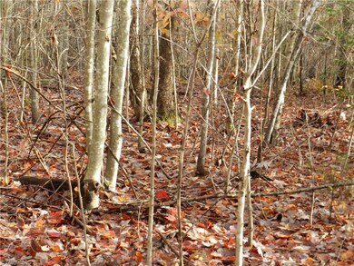 0 Bennett Farm Rd, Asheboro, NC 27205 - photo 7