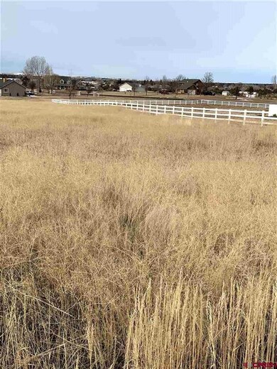 0 Road North 6 Loop unit 35 766006, Cortez, CO 81321 - photo 5