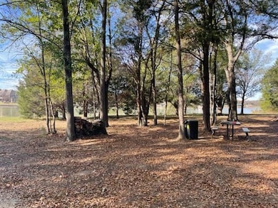 2231 SE County Rd, Kerens, TX 75144 - photo 6