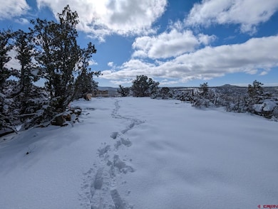 TBD Indian Route 111 Rd, Durango, CO 81303 - photo 3