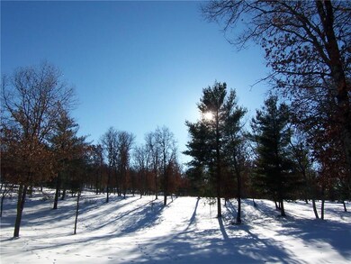Lot 5 Minerva Rd, Danbury, WI 54830 - photo 2