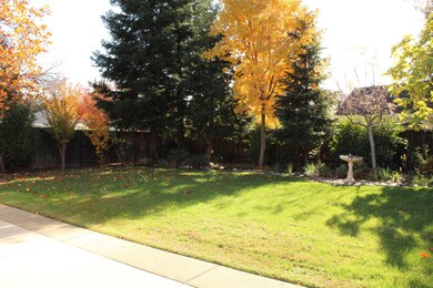 Backyard View 1