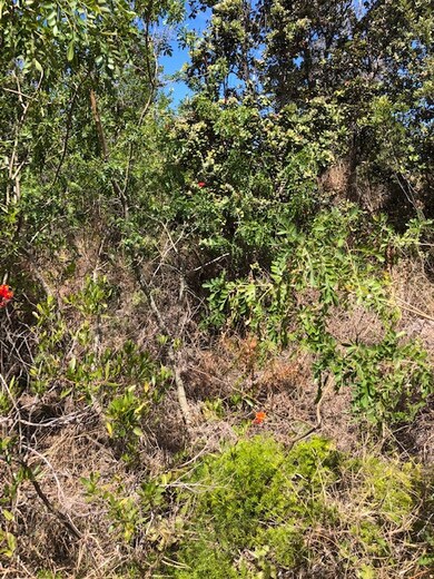 0 Bamboo Ln unit 710662, Ocean View, HI 96704 - photo 2