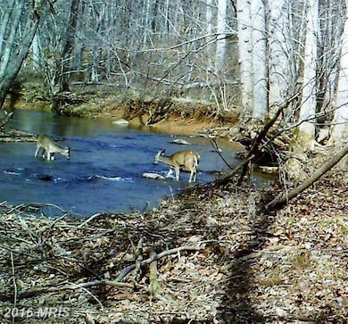 0 Old Foxville Rd unit 1002908562, Warrenton, VA 20186 - photo 4