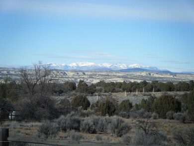 Views From the Front of the Property