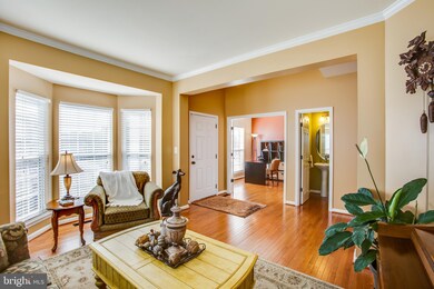 12509 Ventura Ln, Fredericksburg, VA 22407 - photo 5