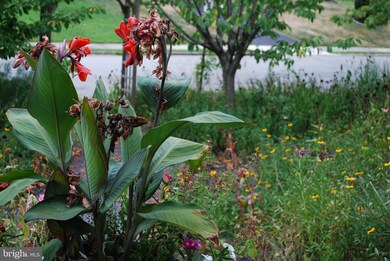 552 Holmes Rd, Morton, PA 19070 - photo 3