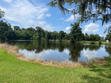 4146 County Road 461a, Brazoria, TX 77422 - photo 4