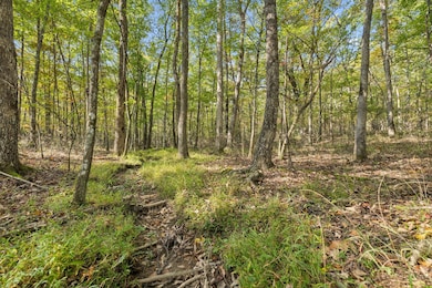 0 Timberwood Trace unit RTC2775759, Monteagle, TN 37356 - photo 3