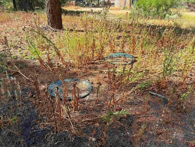 22 Blue Jay Place, Pagosa Springs, CO 81147 - photo 5