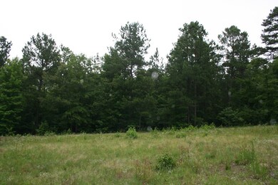 0 Baker Davis Rd unit 428510, Lincolnton, GA 30817 - photo 3