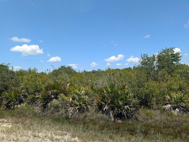 0 Sarasota Dr unit MFRTB8412151, Indian Lake Estates, FL 33855 - photo 3