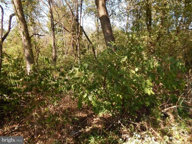 00 Douglass Dr, Douglassville, PA 19518 - photo 5