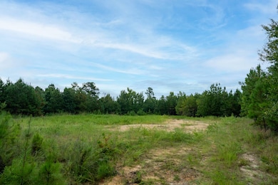 0 Camp Welfare Rd, Winnsboro, SC 29180 - photo 5