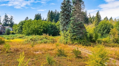 5230 Sidney Rd SW, Port Orchard, WA 98367 - photo 6