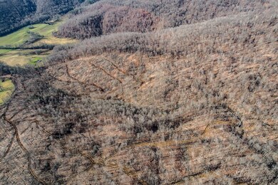 555.59ac Board Valley, Cookeville, TN 38501 - photo 6