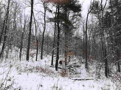 5732 Monument Hill Rd unit Lot 1, Castleton, VT 05735 - photo 2