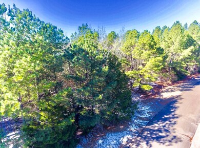 802 Corley Ln, Oxford, MS 38655 - photo 7